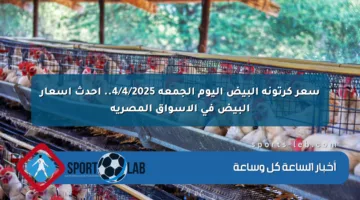 سعر كرتونة البيض اليوم الجمعة 4/4/2025.. أحدث أسعار البيض في الأسواق المصرية